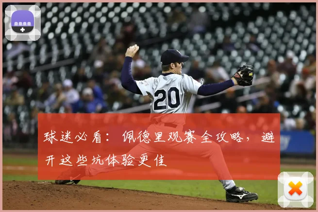 球迷必看:佩德里观赛全攻略,避开这些坑体验更佳